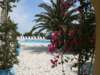 Albatross Hotel & Bungalows 